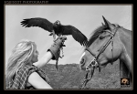equiscot 1552