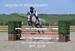 BPP_8238