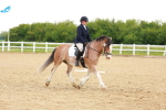 SBM_006463