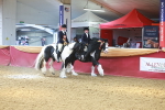 SBM_15016