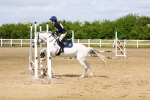 SBM_007911