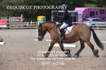 BPP_6196
