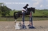 BPP_4740