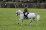 SIAL3781