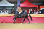 SBM_09513