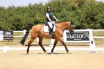 SBM_003981