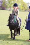 20260426-2626
