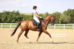 SBM_002809