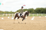 SBM_008654