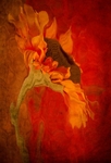 SL147