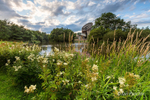 Summer Evening at The Ecos Centre
