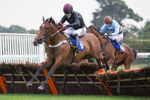 20140907Fontwell052