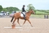BPP_9328
