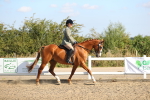 SBM_02193