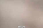 240611A-155830-00022