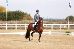 SBM_016957