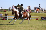 3E7A6463