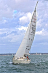 201010 WHIPPA SNAPPA 1Y3A9351_Edit