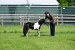 SBM_03532