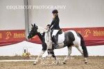 BPP_8331