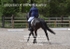 BPP_6586