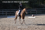 BPP_9228