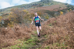 Stybarrow Dodd-664