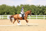 SBM_002087