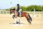 SBM_007131