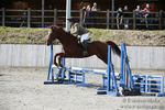 BVRC SJ 170319 420