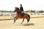 SBM_006142