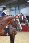 SBM_20128
