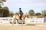 SBM_18149