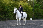 WJ5_8979