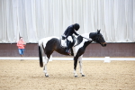 SBM_000240