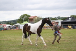 SBM_09918