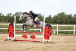 SBM_007190