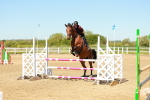 SBM_000566