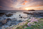 Godrevy