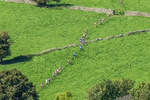 Loweswater Show-231