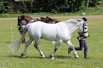SIAL6218