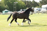 SBM_02296
