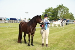 SBM_00660