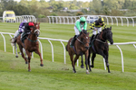 080624-Race 5-Gibside-4882