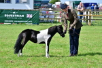 SBM_03620
