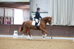 SBM_001351