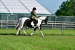 SBM_11386