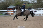 Cls 6 Pony Foxhunter & 1.10m Open portfolio