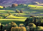 Ref 14 grassington to thorpe