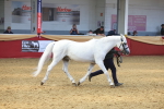 SBM_16680